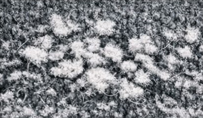 Standard Nylon after abrasion test